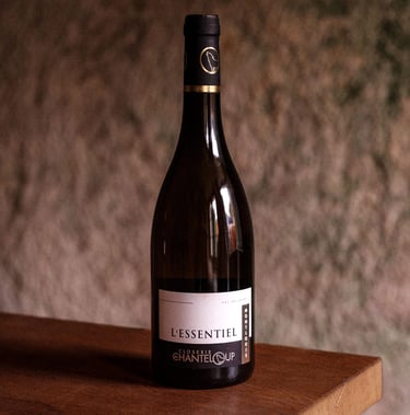 Closerie de Chanteloup, domaine viticole à Amboise : blancs, rouges, rosés, pétillants