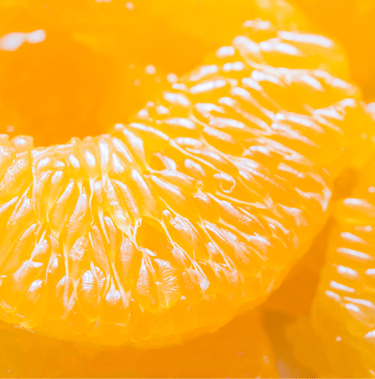 Citrus Cells