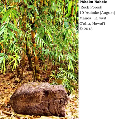 Pōhaku Nahele [Rock Forest] - 10 ʻAukake [August] - Mānoa [lit. vast], Oʻahu, Hawaiʻi 