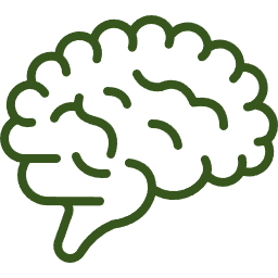 Az emberi agy ikonja, amely a mentális egészséget, kognitív funkciókat szimbolizálja.