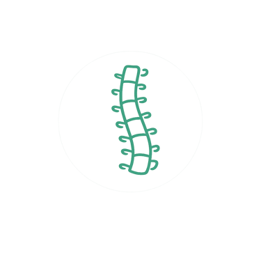 spine icon
