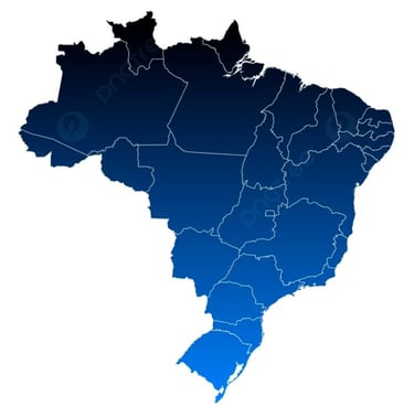 MZ LEÃO Assessoria em Licitação e Vendas para o Governo, atuação nacional