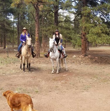 a dog and two horses are riding on a trail