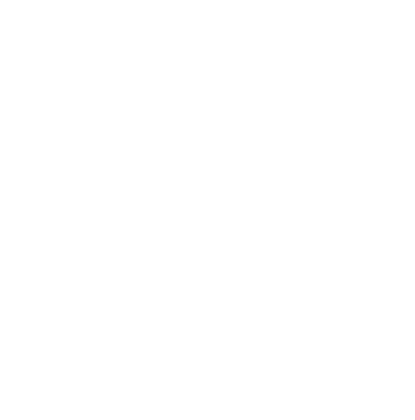 a fox head with a geometric design