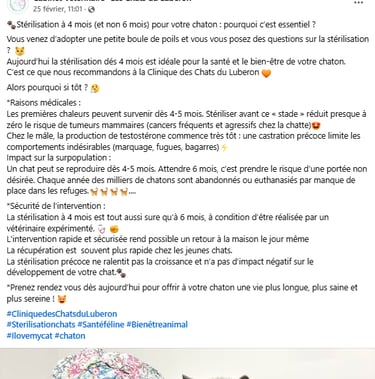 post sur la sterilisation precoce chat bleu russe