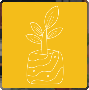 CV writing package - Starter