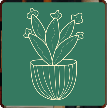 CV writing package - Leadership