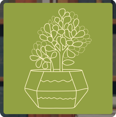 CV writing package - Mid-career