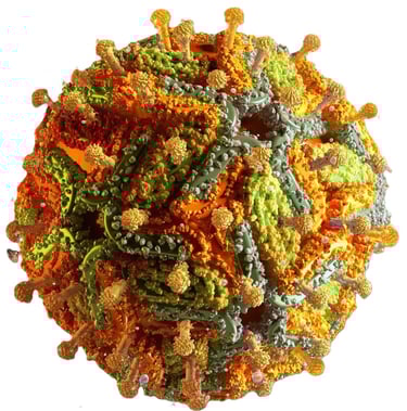 Detailed 3D medical illustration of a virus particle showing surface protein spikes and complex structure.