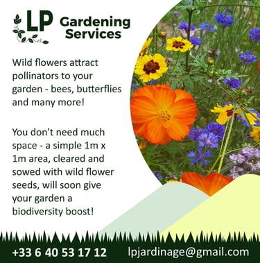 Social media post using visual assets. Gardening Company. Designed by SquareKey Studio