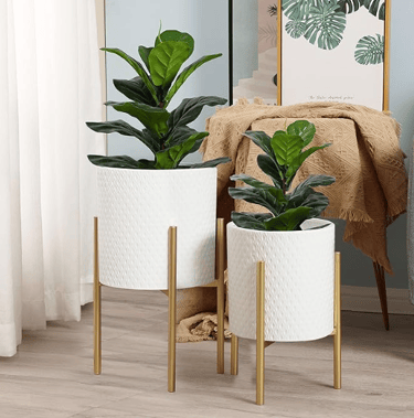 two gold plant stands holding round white ceramic planters with green palms