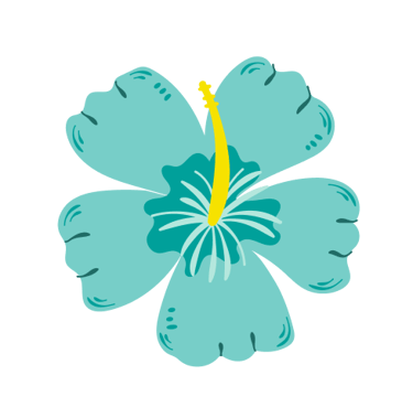 hibiscus-bleu