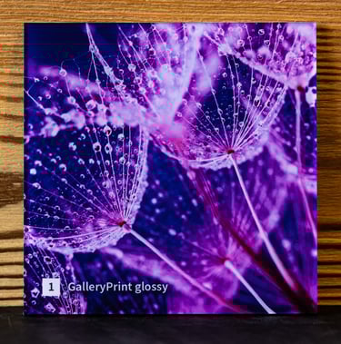 GalleryPrint Face