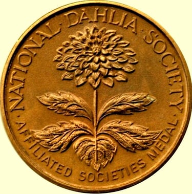 The National Dahlia Society Bronze Medail - awarded to the 2nd best Dahlia exhibit in the Sandy Show