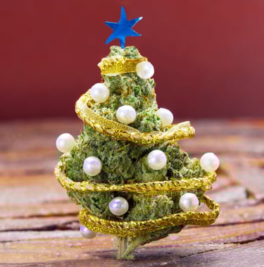 Cannabis Christmas in Malta
