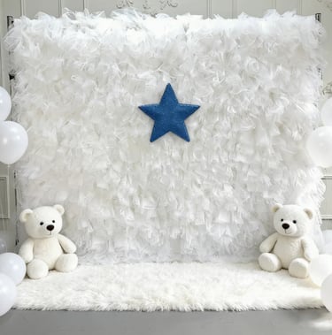 White tulle backdrop with blue star and teddy bears for baby shower party decoration.