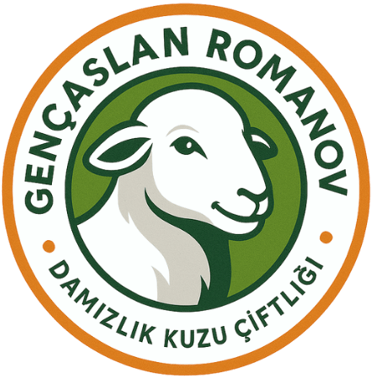 Gençaslan Romanov koyunu  damızlık çiftliği