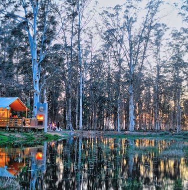 mountain and forest retreat, forest walks
