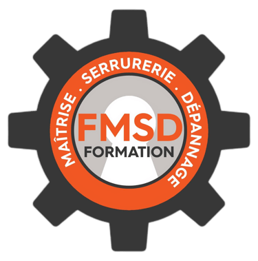 the logo for the fmsdd foundation