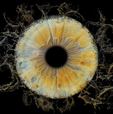 photo art iris bordeaux