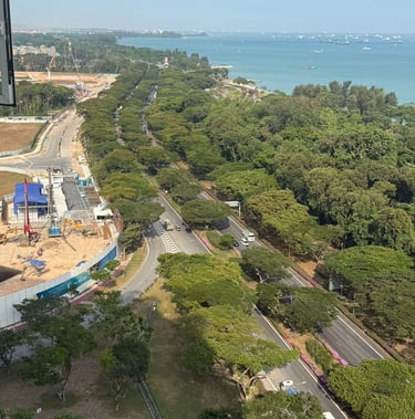 Aerial view of East Coast Park Singapore showing the coastal road, lush green trees, and cargo ships.