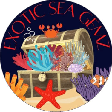 Sweet Heat Candy Co.