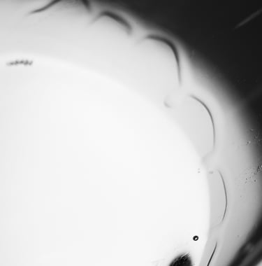 Jambe du vin dans un verre  photo en noir et blanc