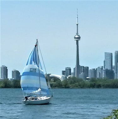Toronto harbour from Leslie Spit