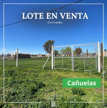 lotes cercados