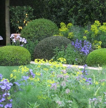 Mooie border met natuurlijke beplanting