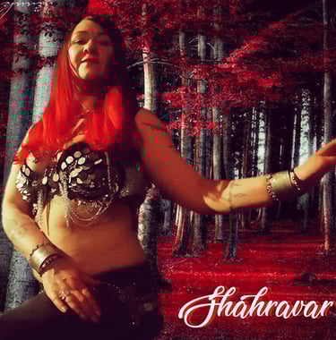 Dramatic bellydancer Shahravar wearing coin costume