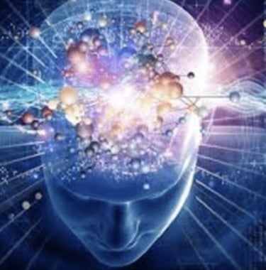 neurofeedback dynamique
