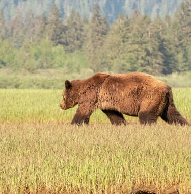 Colombie-Britannique, Canada