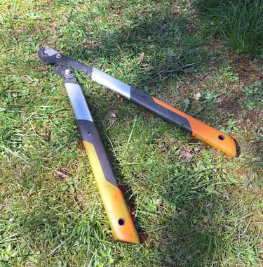 the pruning saw we used for digging up shrubs