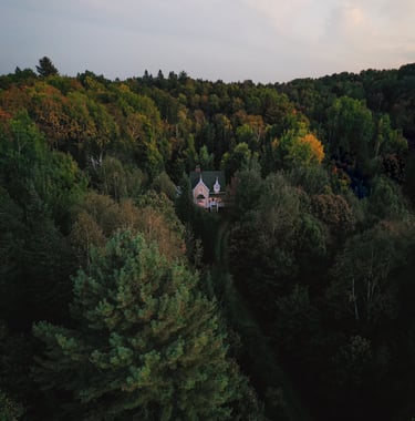 a house with a yellow house in the middle of a forest