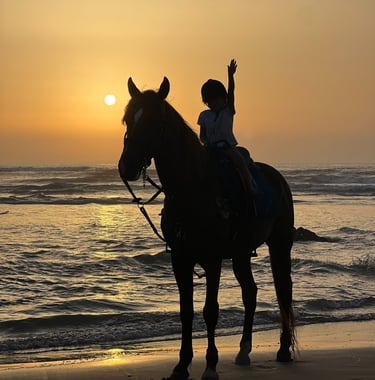 enfant à cheval en bord de mer pendant le coucher de soleil