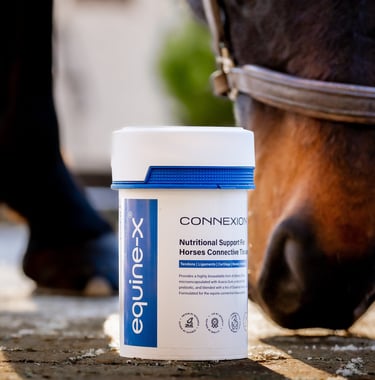 Equine tendon supplement for horses