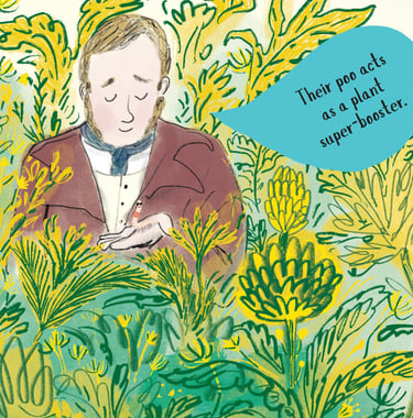 Illustration from Darwin's Super-Pooping Worm Spectacular: Darwin hold a worm. Plant super-booster.