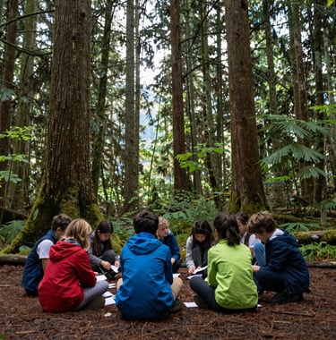 A serene, wide shot of outdoor learning in a beautiful British Columbia forest on a crisp morning, demonstrating natural inquiry and growth.