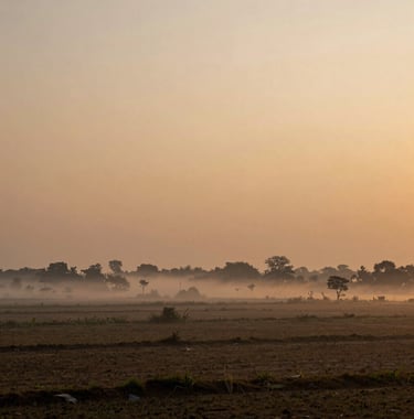 A wide-angle landscape shot of the countryside in Viluppuram at dawn, with a soft mist over the fields and the sky turning a gentle amber and soft orange gold.
