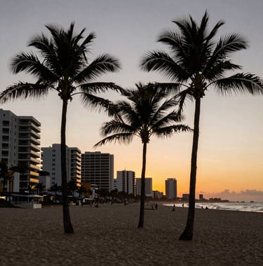 A scenic landscape shot of Zicatela beach at sunset, with a focus on the elegant silhouettes of palm trees and high-end coastal developments. Professional photography with high contrast.