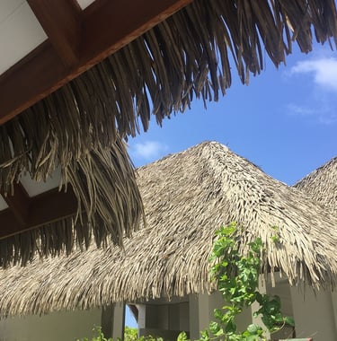 Palm thatched roof
