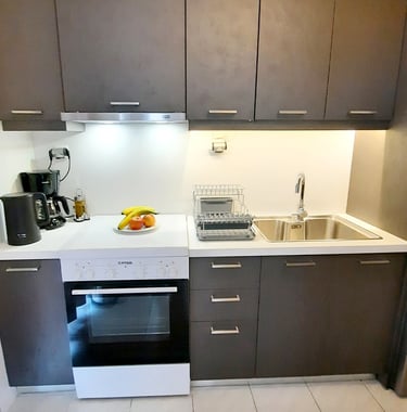 stelios studios kitchen in sougia