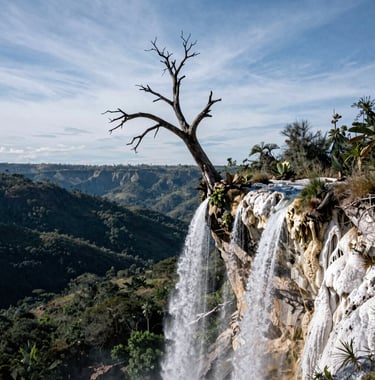 A dramatic shot of the famous solitary dead tree at the edge of a cliff in Hierve el Agua, Oaxaca. The white mineral formations of the petrified waterfall drop off into a lush Mexican valley under a soft blue sky.
