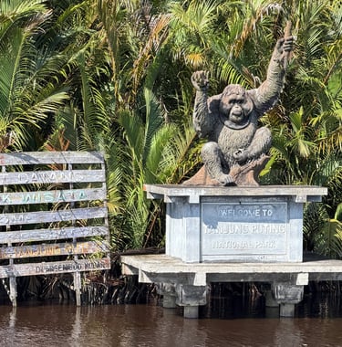 Statue of Tanjung Puting National Park