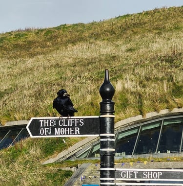 Finn's Footprints Travel Blog for Ireland Trip