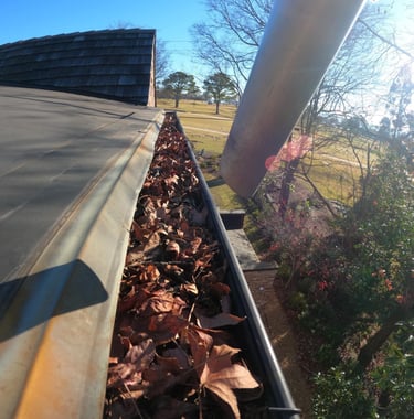 Leaves in gutters