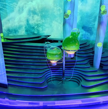 microalgas exposiciones