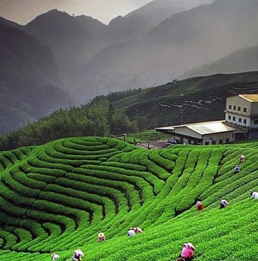 Kausani, Uttarakhand