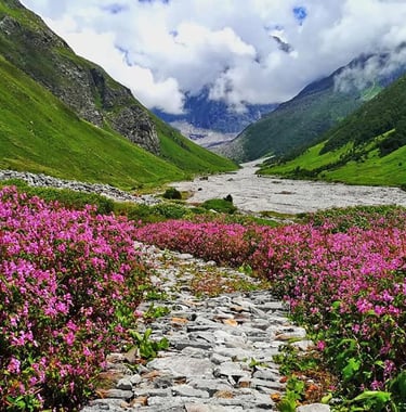 Valley of Flowers, Uttarakhand. | Uttarakhand Tourism